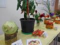 DSCN5290.JPG
